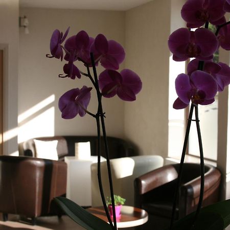 Hotel Bel Horizon Saint-Chely-d'Apcher Exterior foto